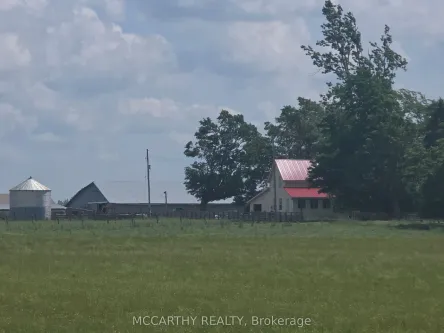 501098 Hwy # 89 N/A, Southgate, ON L9W 3W3