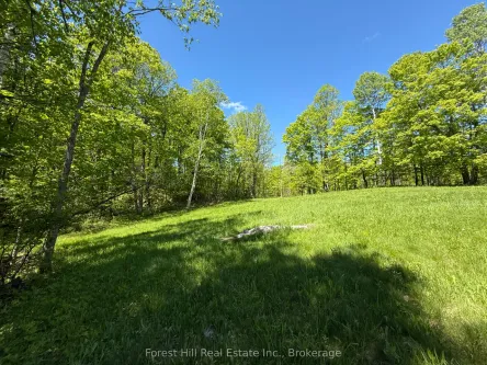 0 East Road, Parry Sound Remote Area, ON P0H 1S0