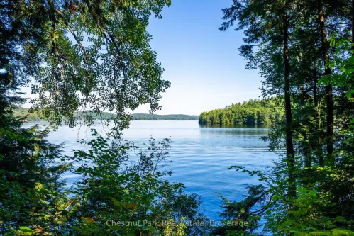 4339 Muskoka Road 117 Road, Lake of Bays, ON P0B 1A0